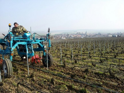 Champagne vineyards - soft ploughing - labour de printemps